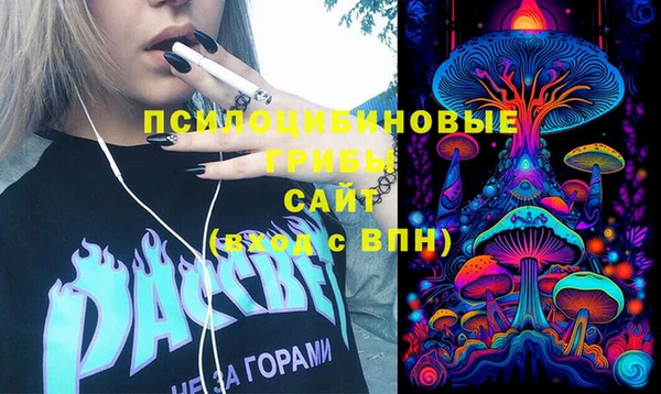 прущие крисы Балахна