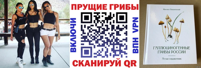 Псилоцибиновые грибы Psilocybe  Новокубанск 